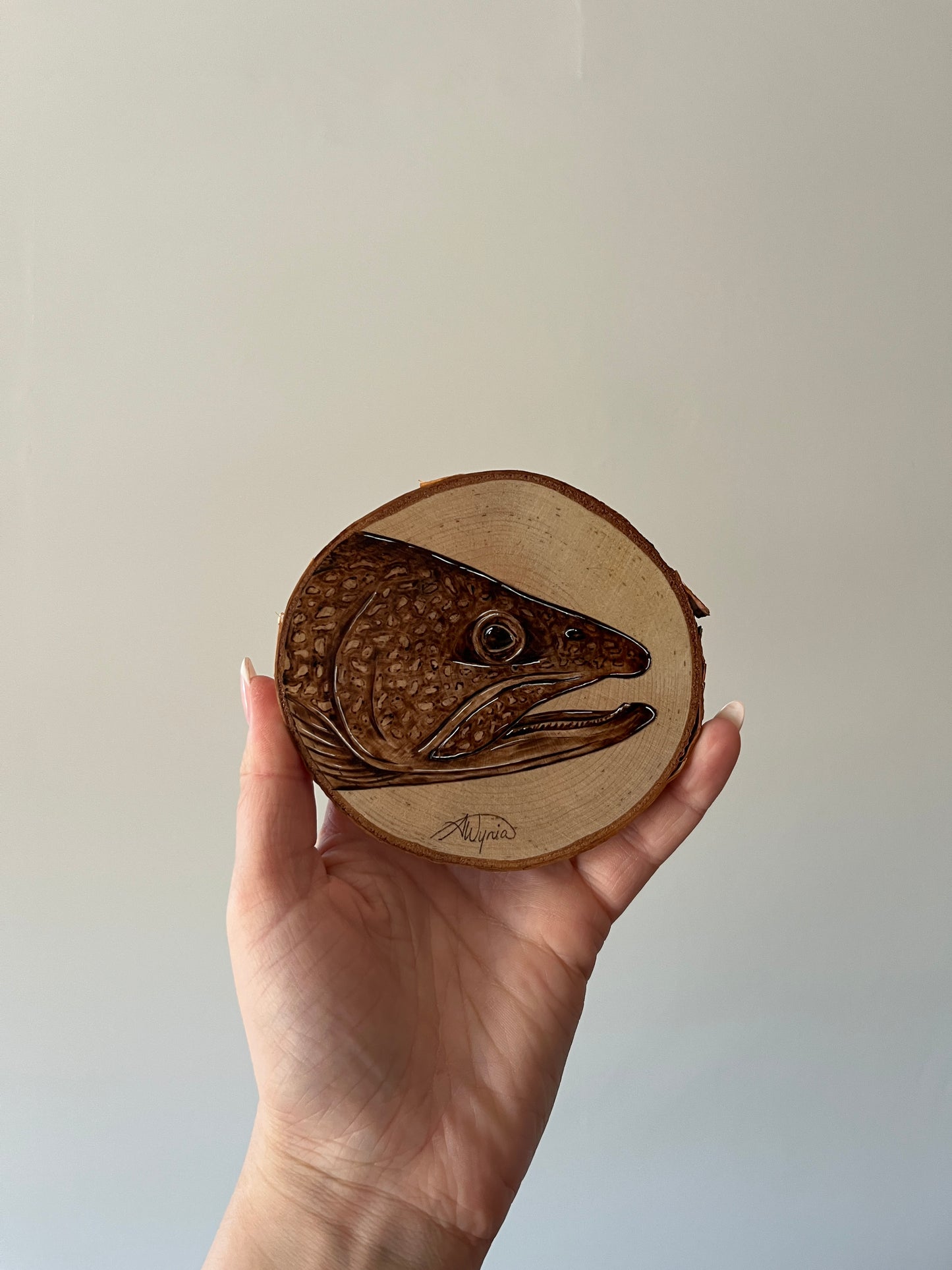 Lake Trout Mini Burn