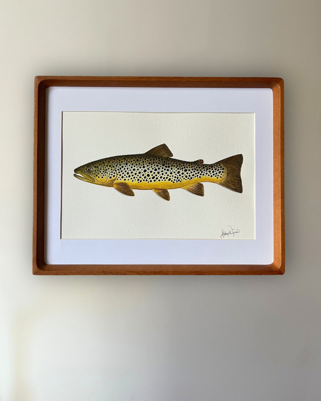 Brown Trout - Original Watercolour Painting
