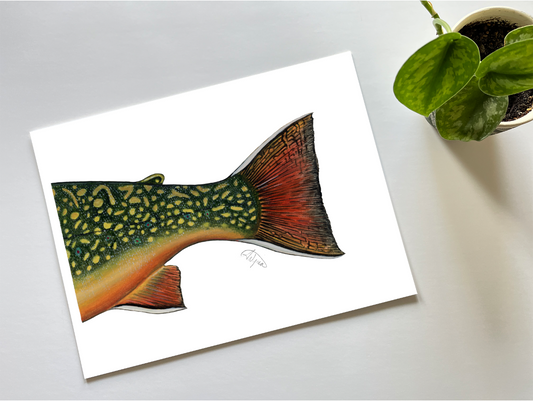 Brook Trout Adipose Series Print