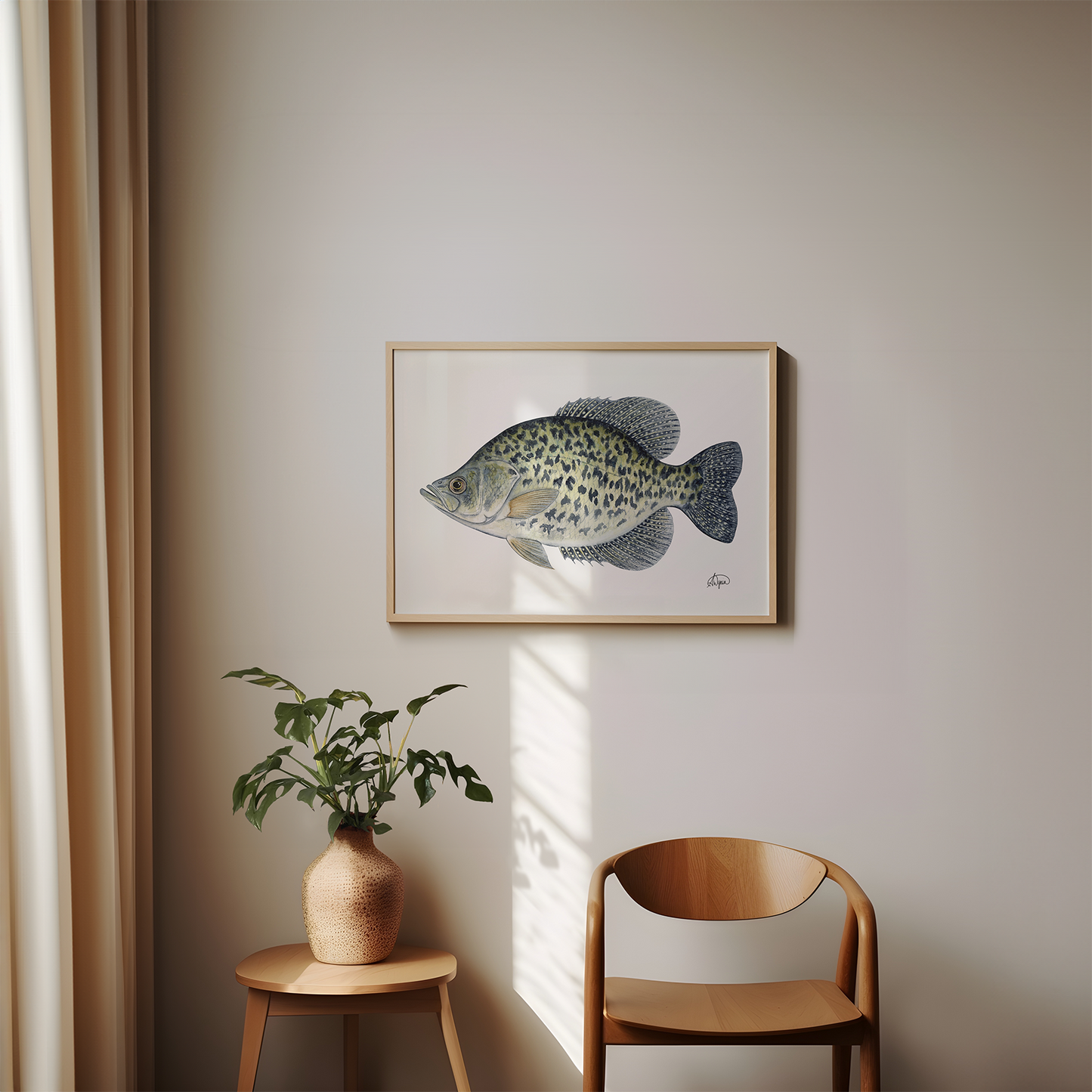 Black Crappie Print