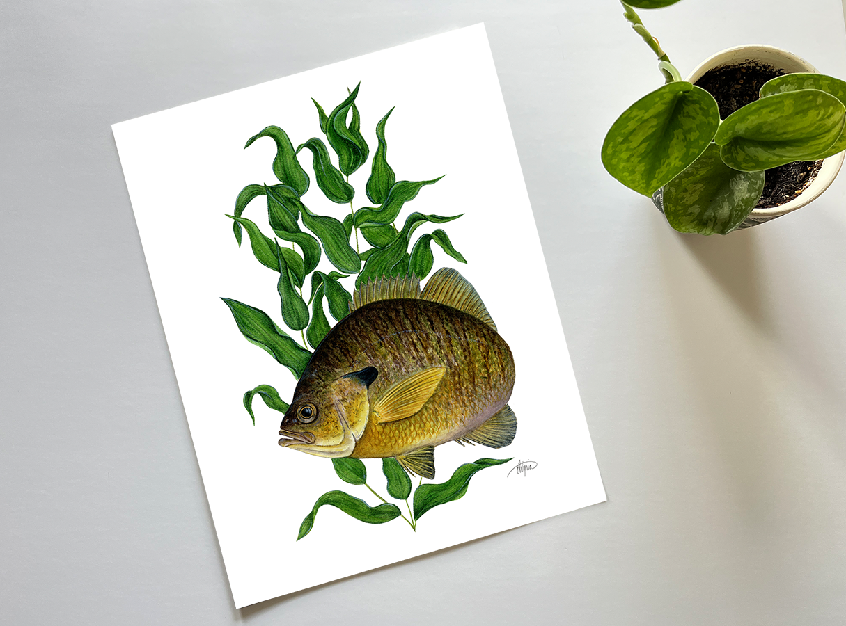 Rooted Refuge Print