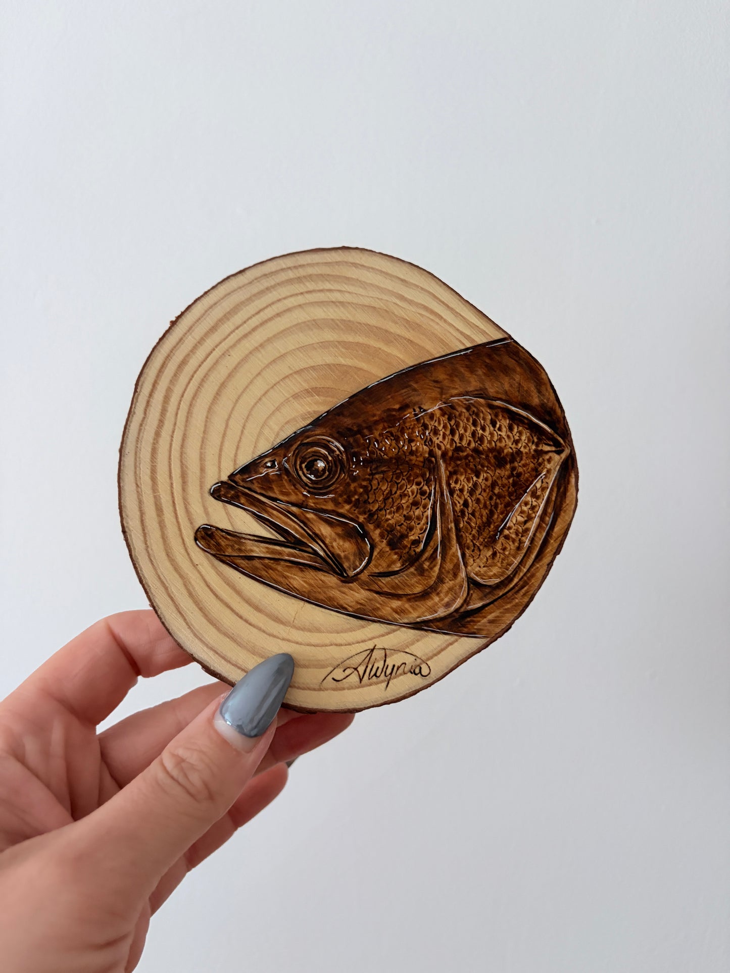 Largemouth Bass Study - May 26, 2026