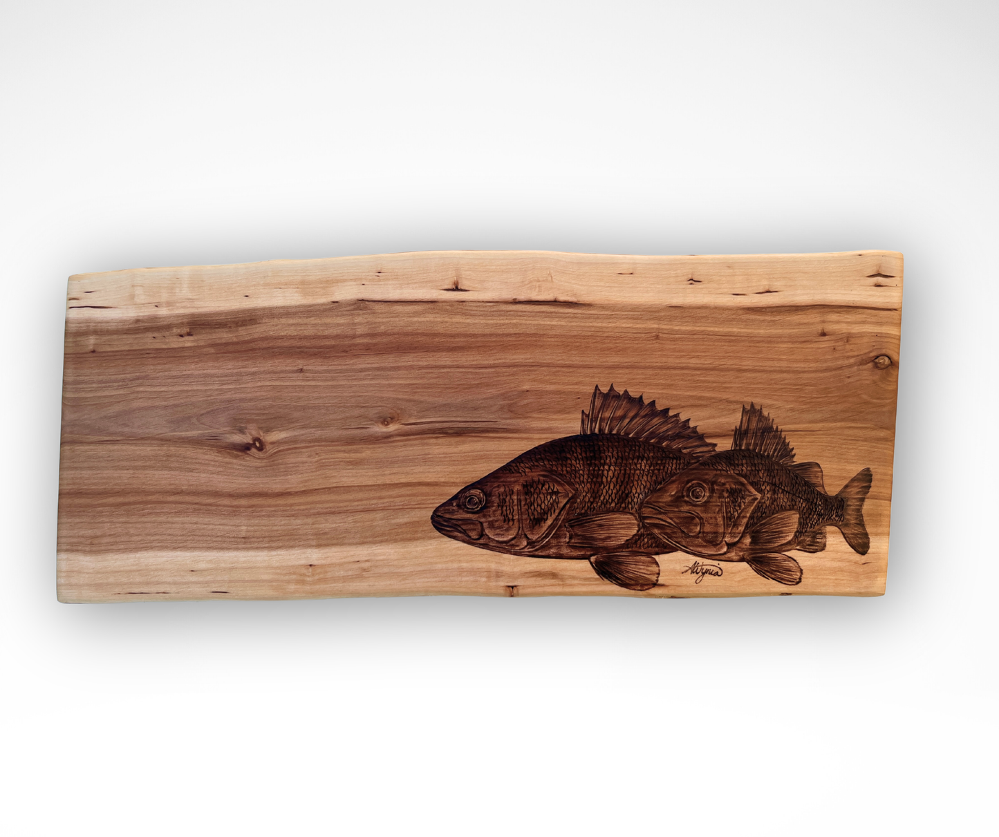 Yellow Perch Pair on Applewood