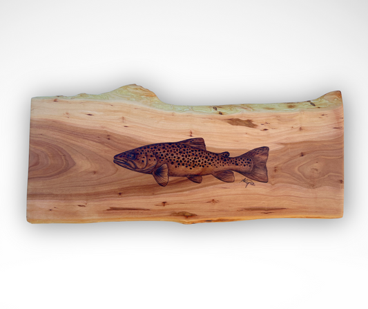 Brown Trout on Applewood