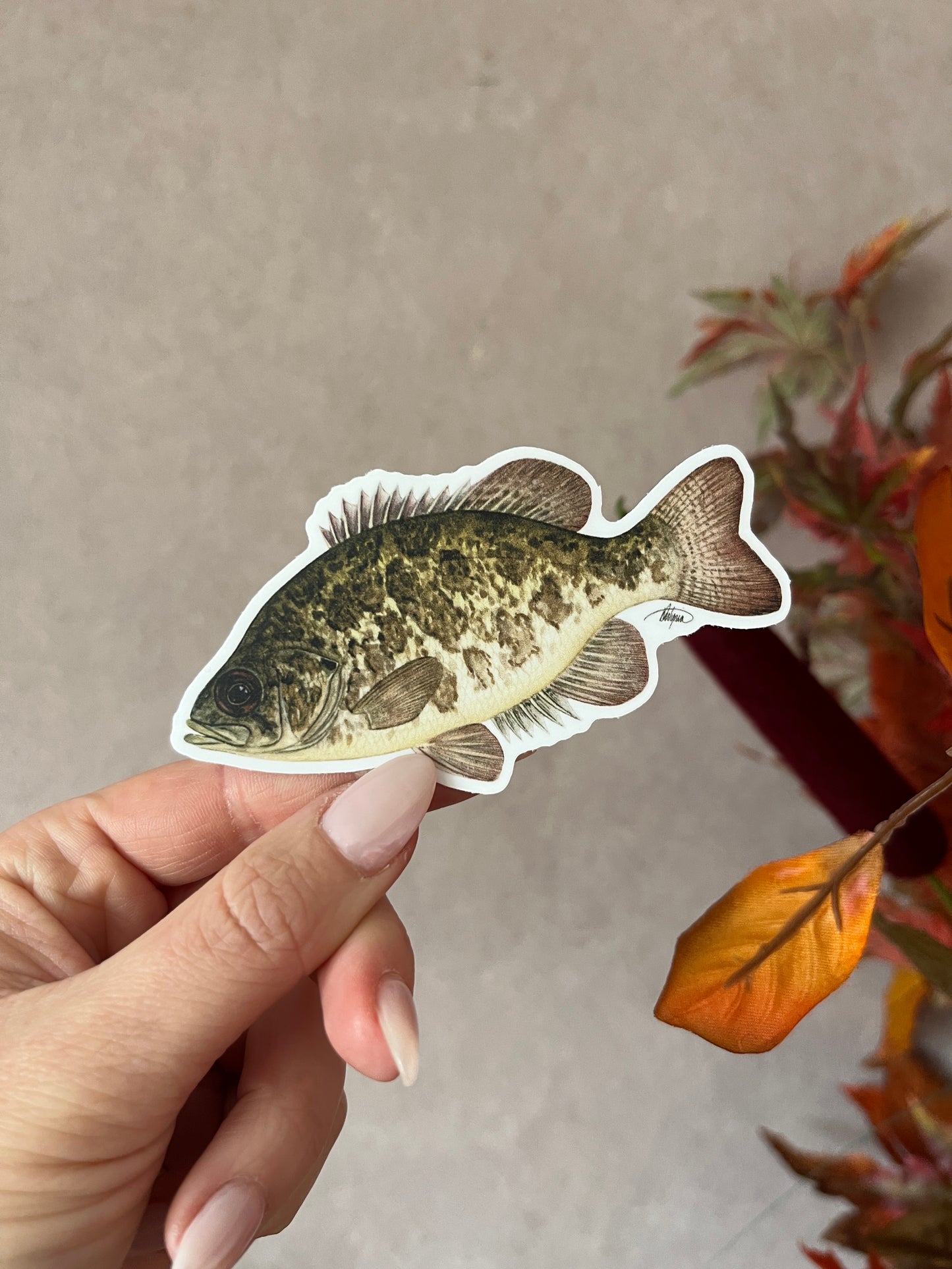 Rock Bass Vinyl Sticker