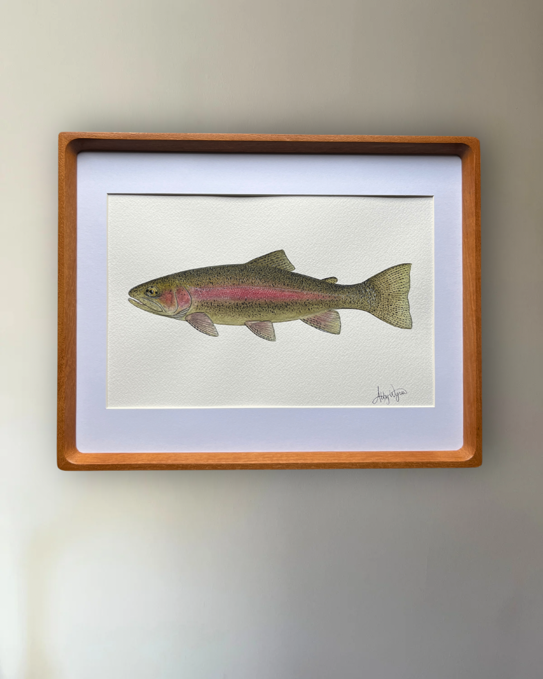 Rainbow Trout - Original Watercolour Painting