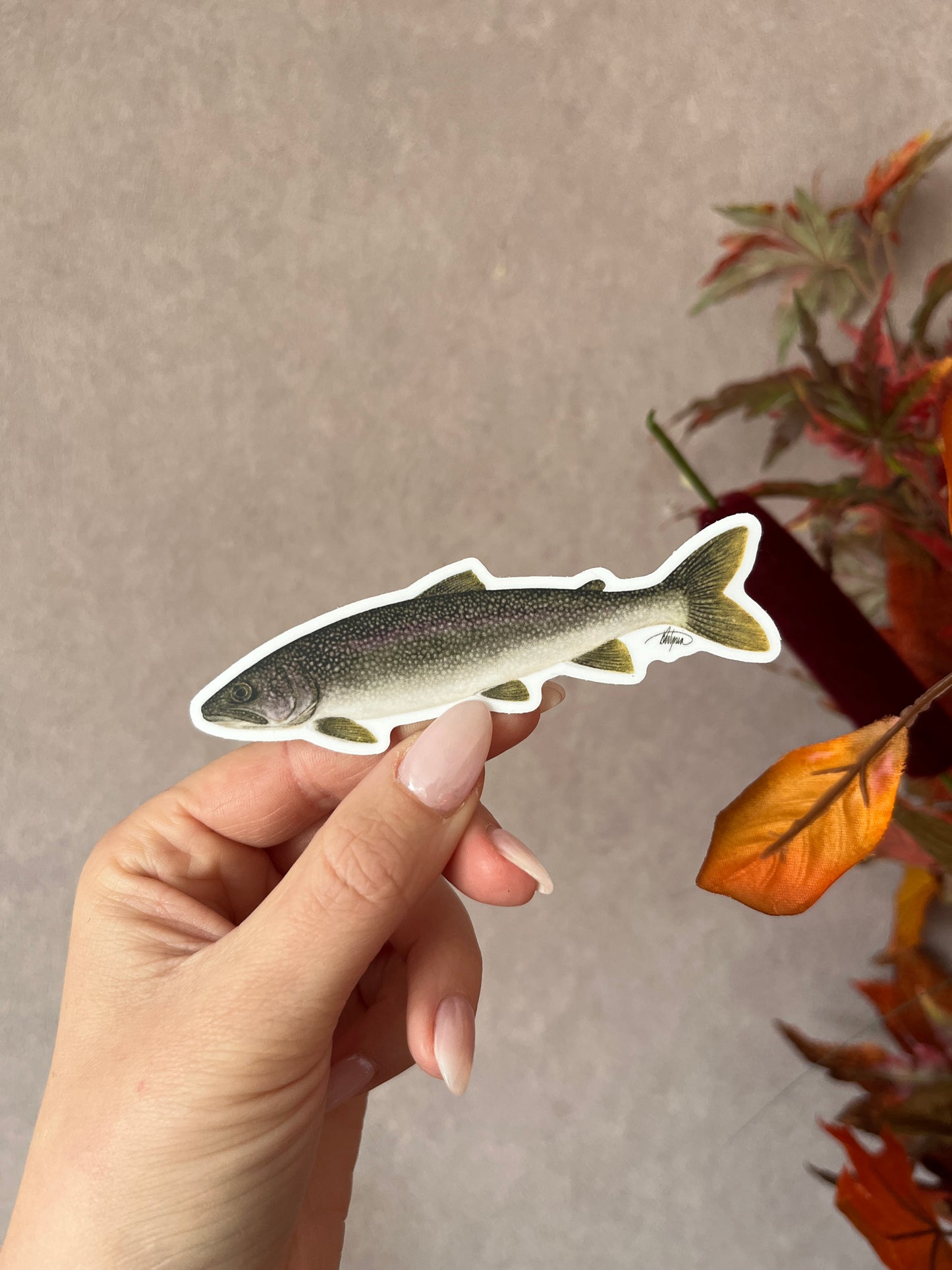 Lake Trout Vinyl Sticker