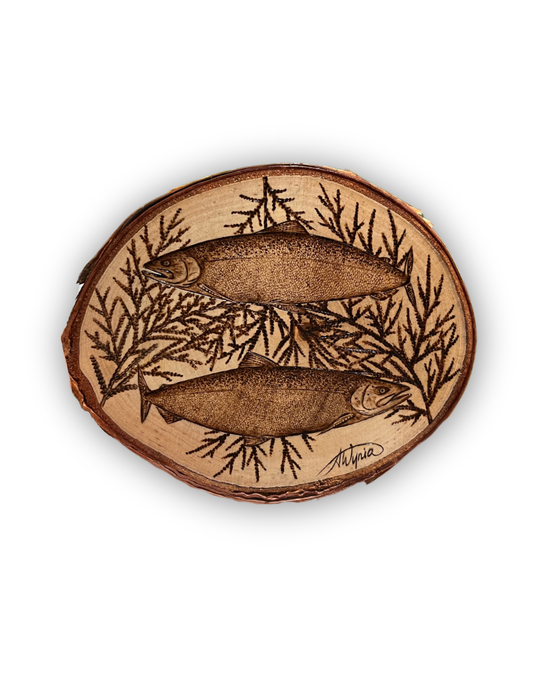 Cedar Chinook