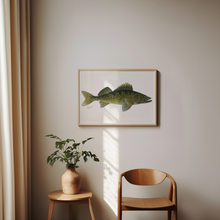 Load image into Gallery viewer, Walleye Watercolour Print
