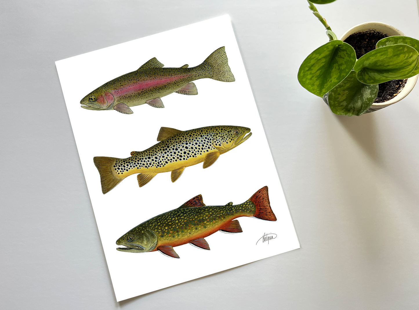 Open Season Triple Trout Print