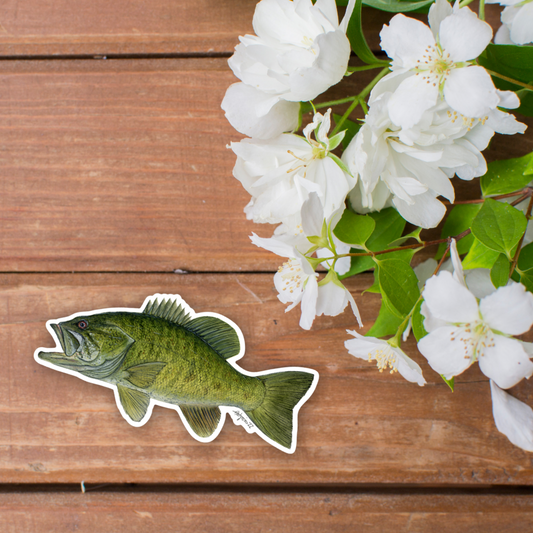 “Casting Call” Smallmouth Bass Vinyl Sticker