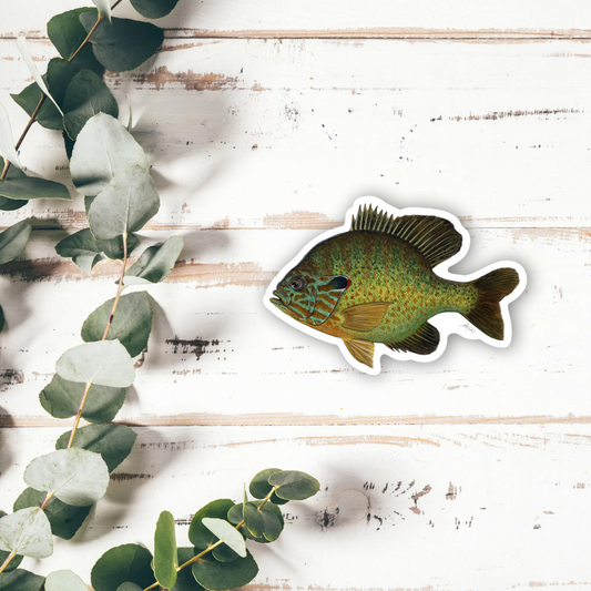 “Tread” Pumpkinseed Vinyl Sticker