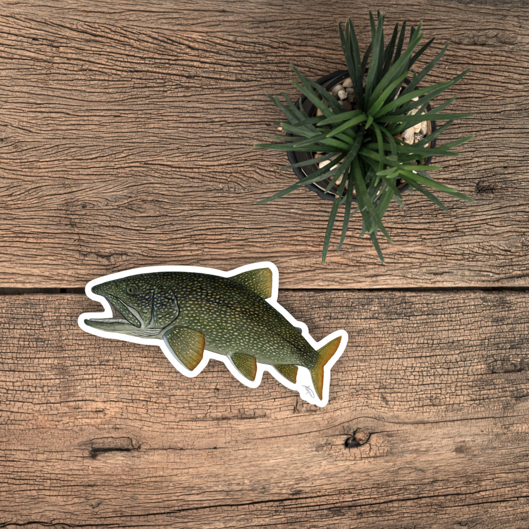 Lake Trout Vinyl Sticker