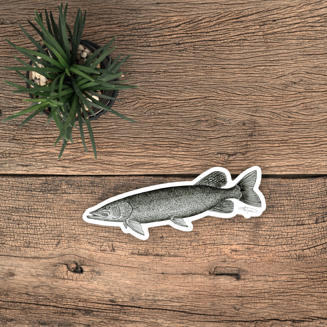 Northern Pike Pen and Ink Vinyl Sticker