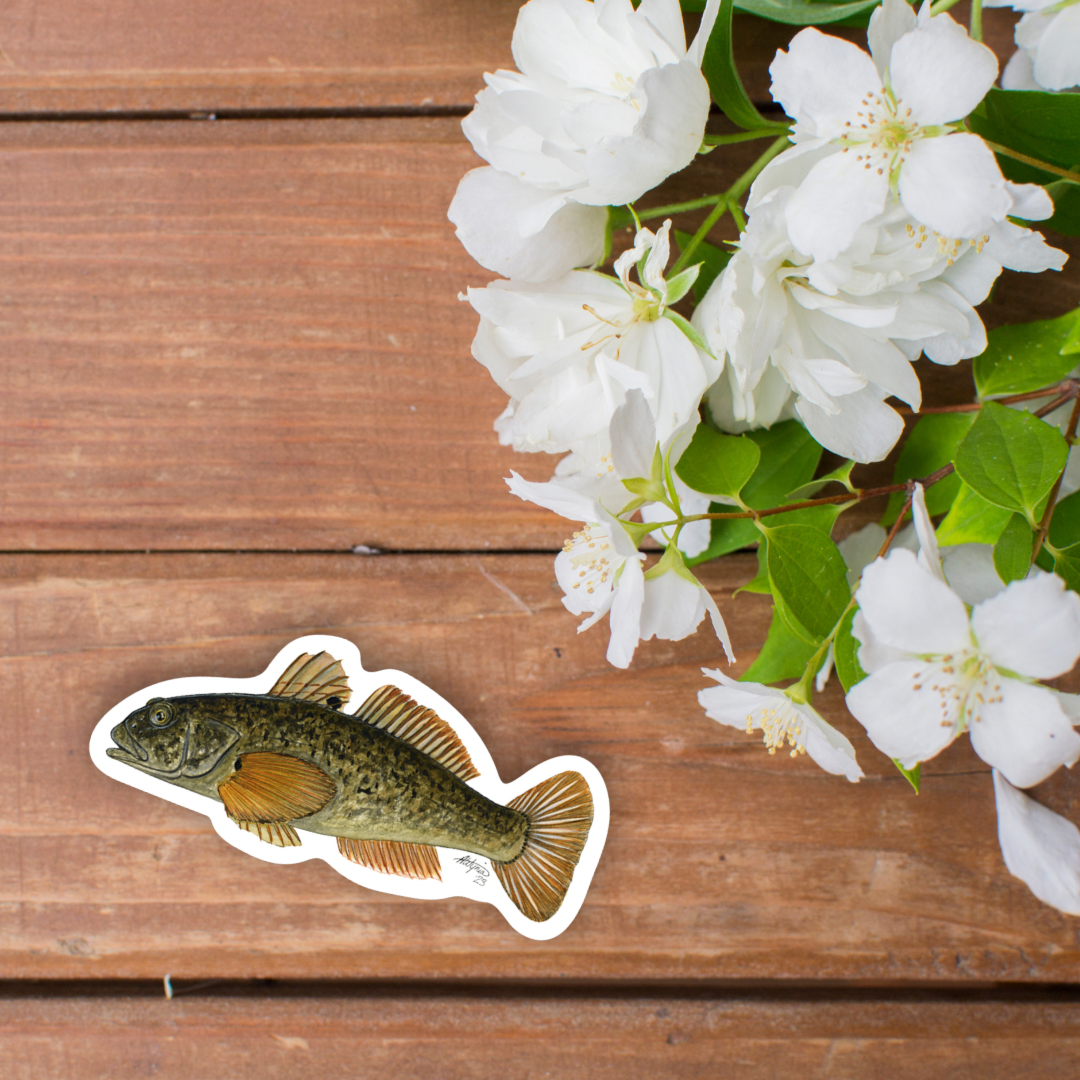 Round Goby Vinyl Stickers - Art for a Cause