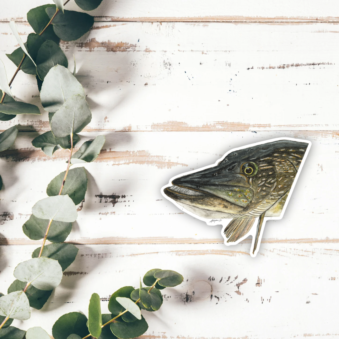 Northern Pike Vinyl Sticker