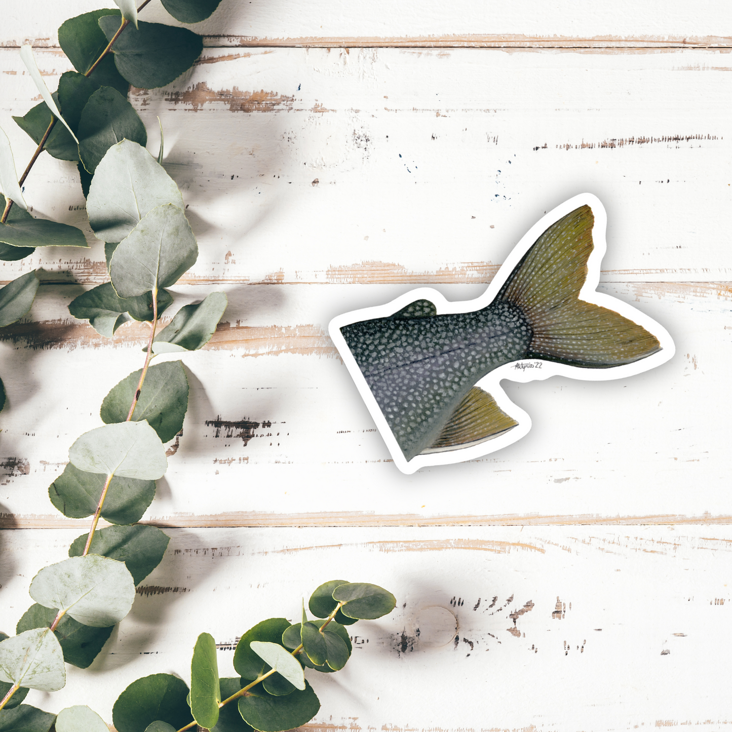 Lake Trout “Adipose” Vinyl Sticker