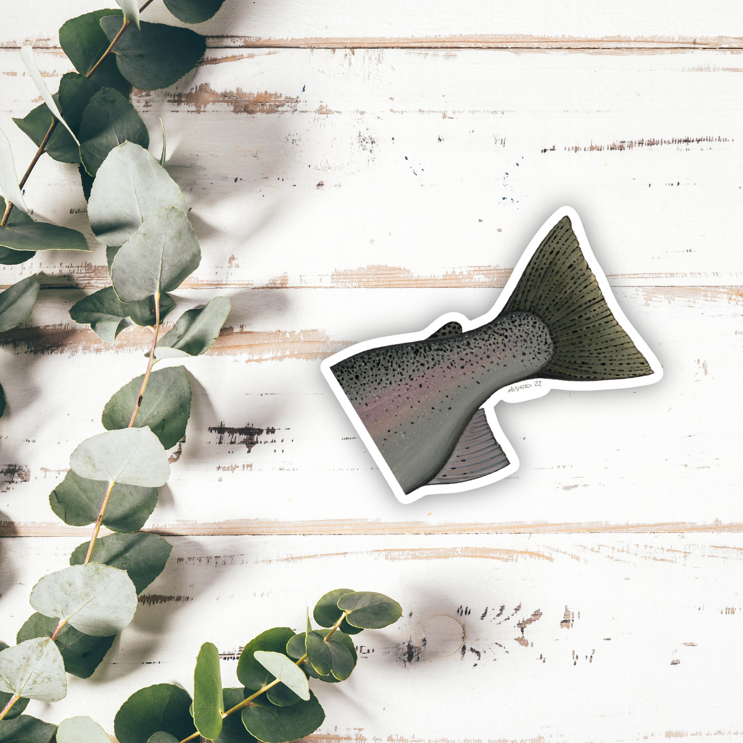 Rainbow Trout “Adipose” Vinyl Sticker