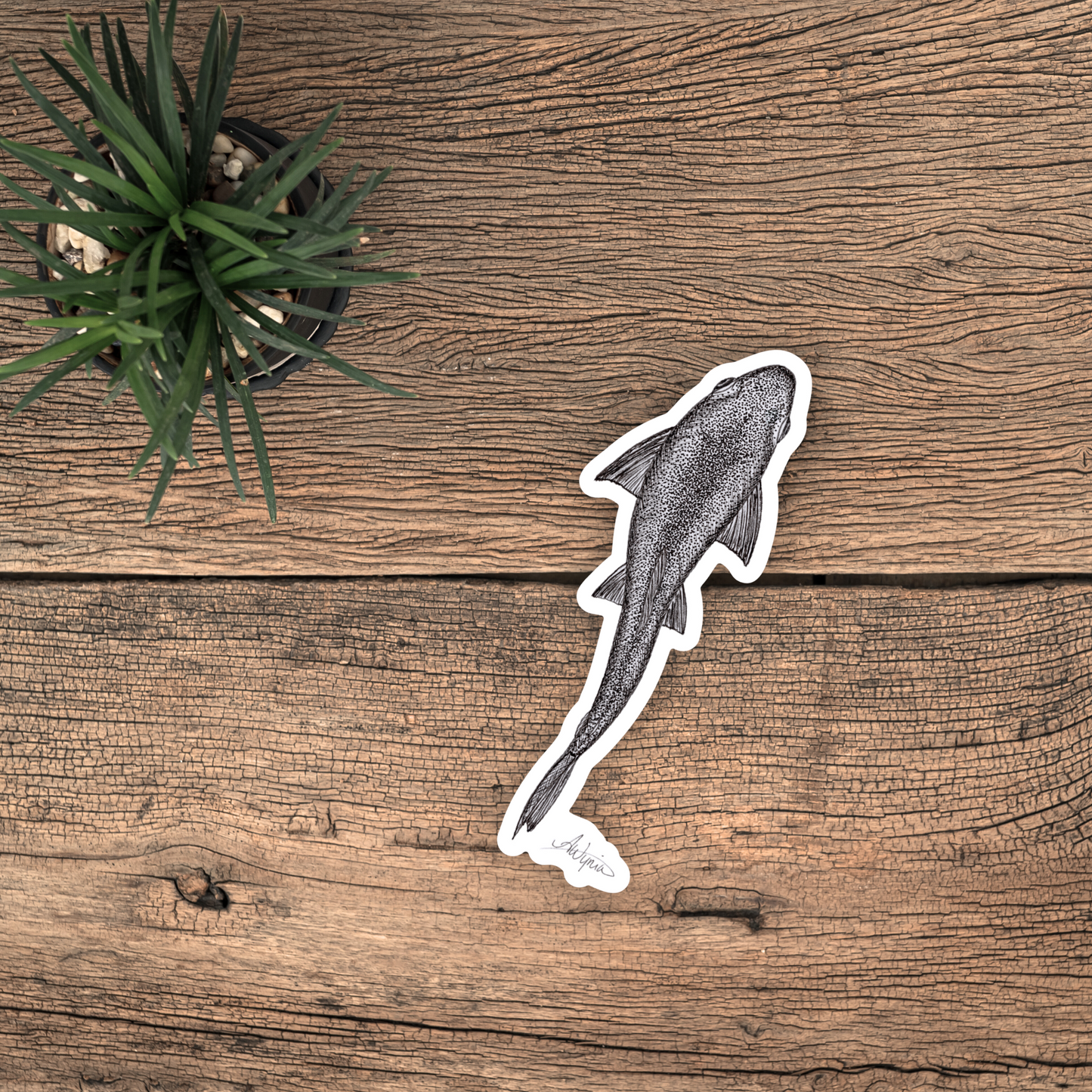 Rainbow Trout Birdseye Vinyl Sticker