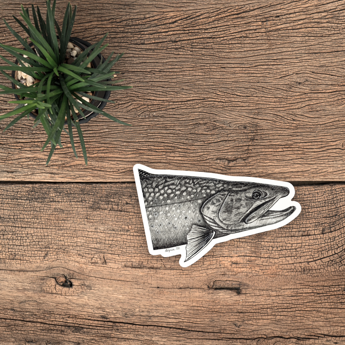 Brook Trout Vinyl Sticker
