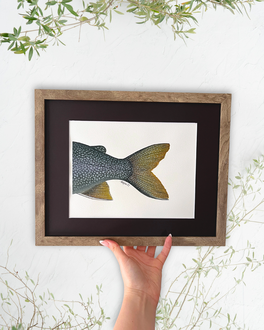 Lake Trout Adipose - Original Watercolour Painting