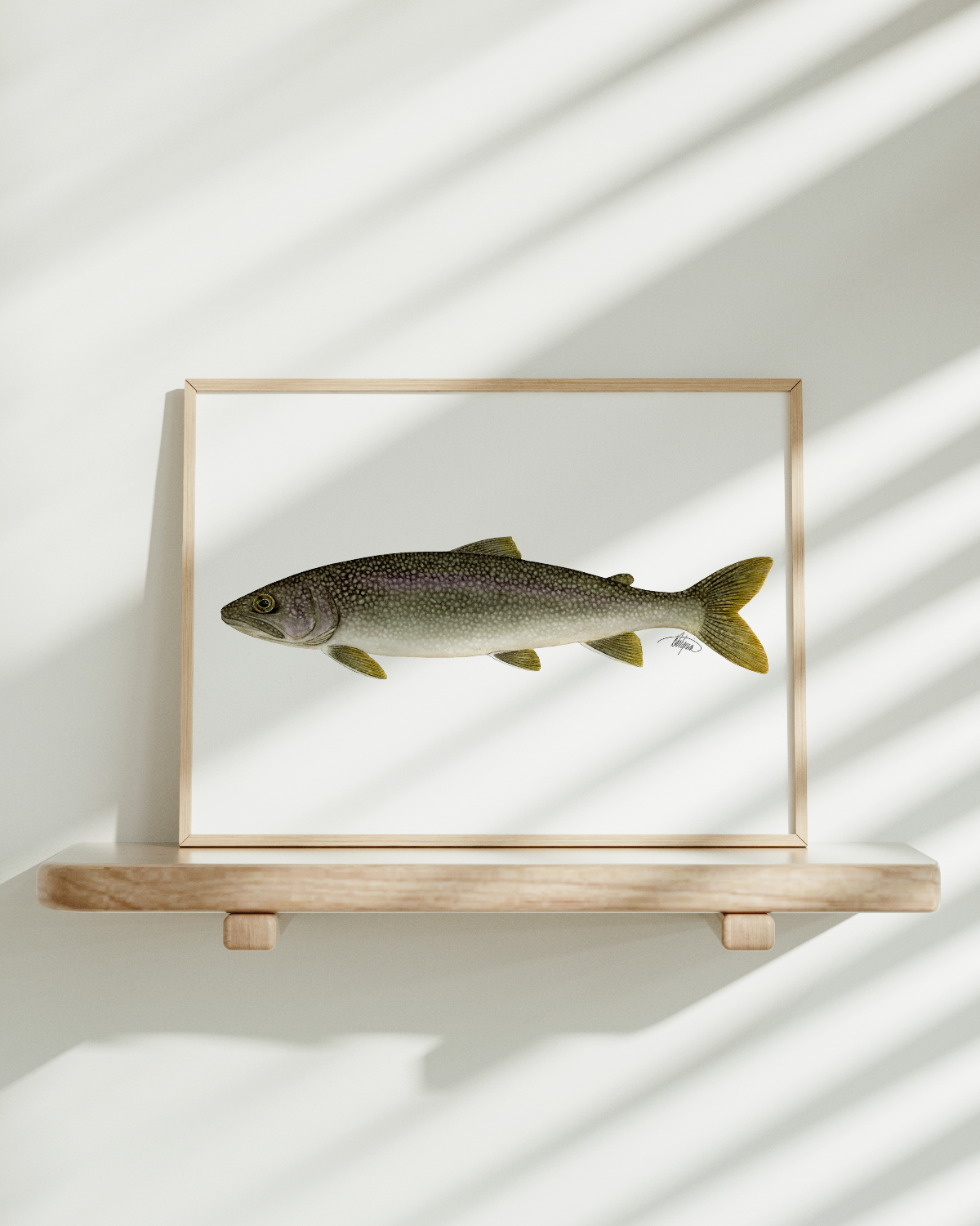 Lake Trout Print