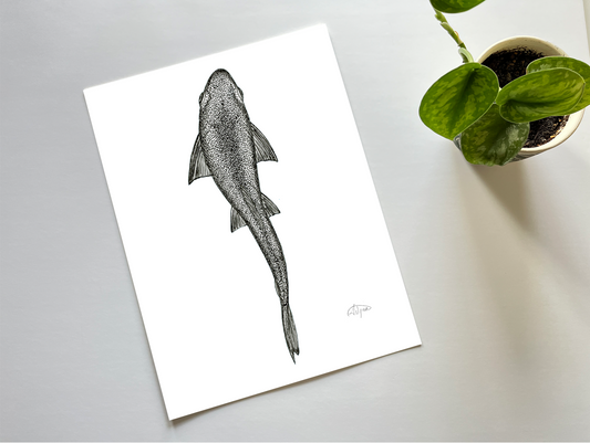 LoFi Birdseye Rainbow Print