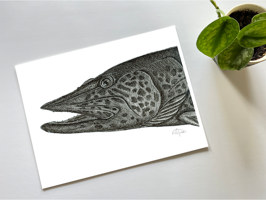 Muskellunge Pen and Ink Print