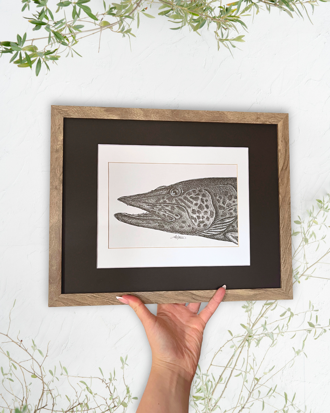 Muskellunge - Original Ink Illustration