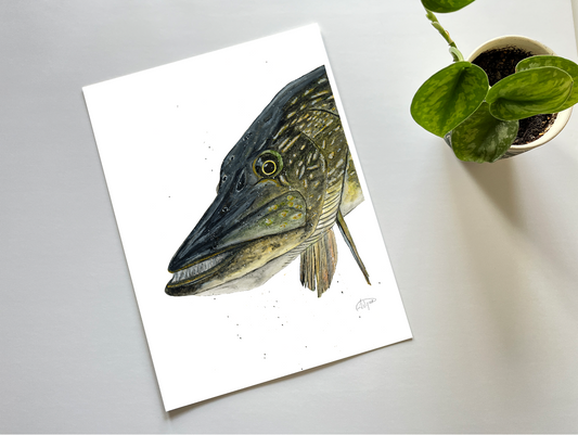 Northern Pike Print