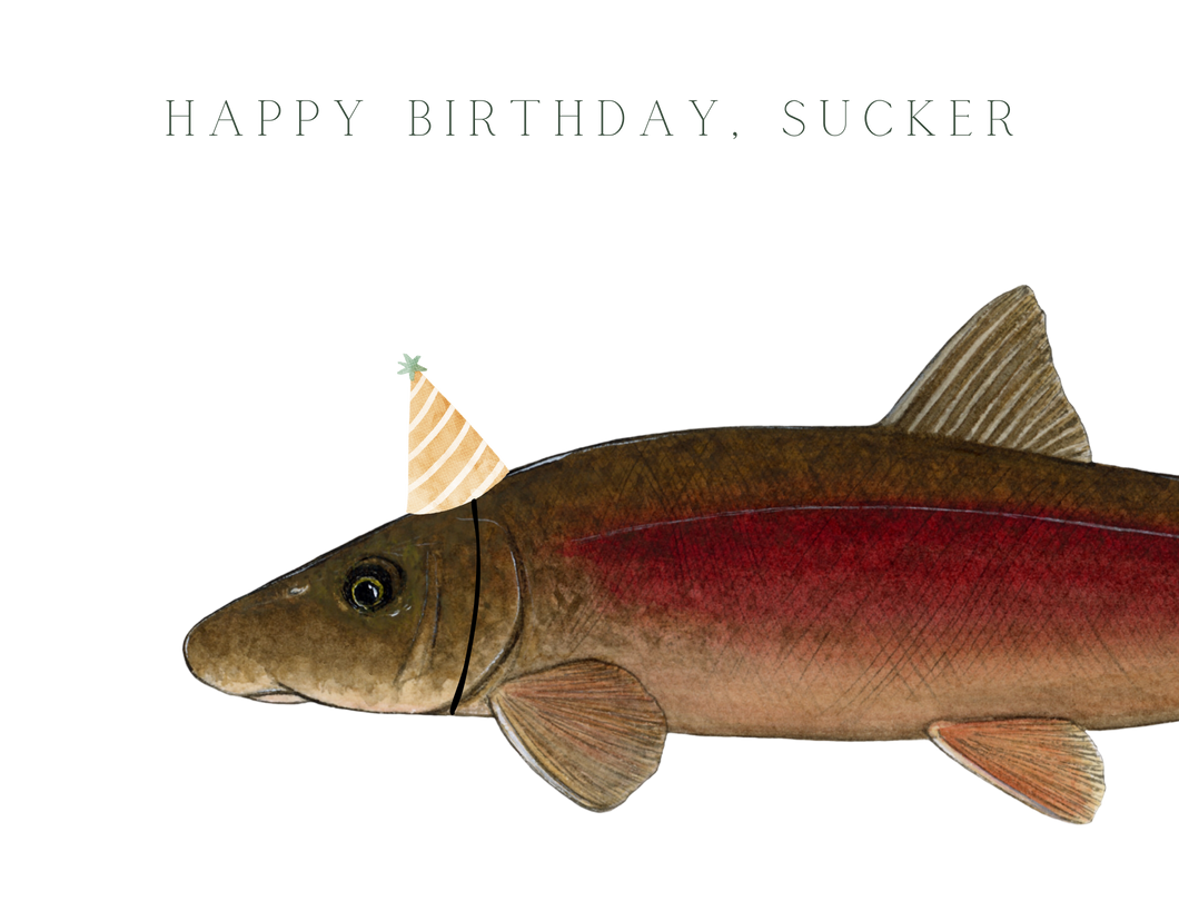 Happy Birthday, Sucker - Birthday Card