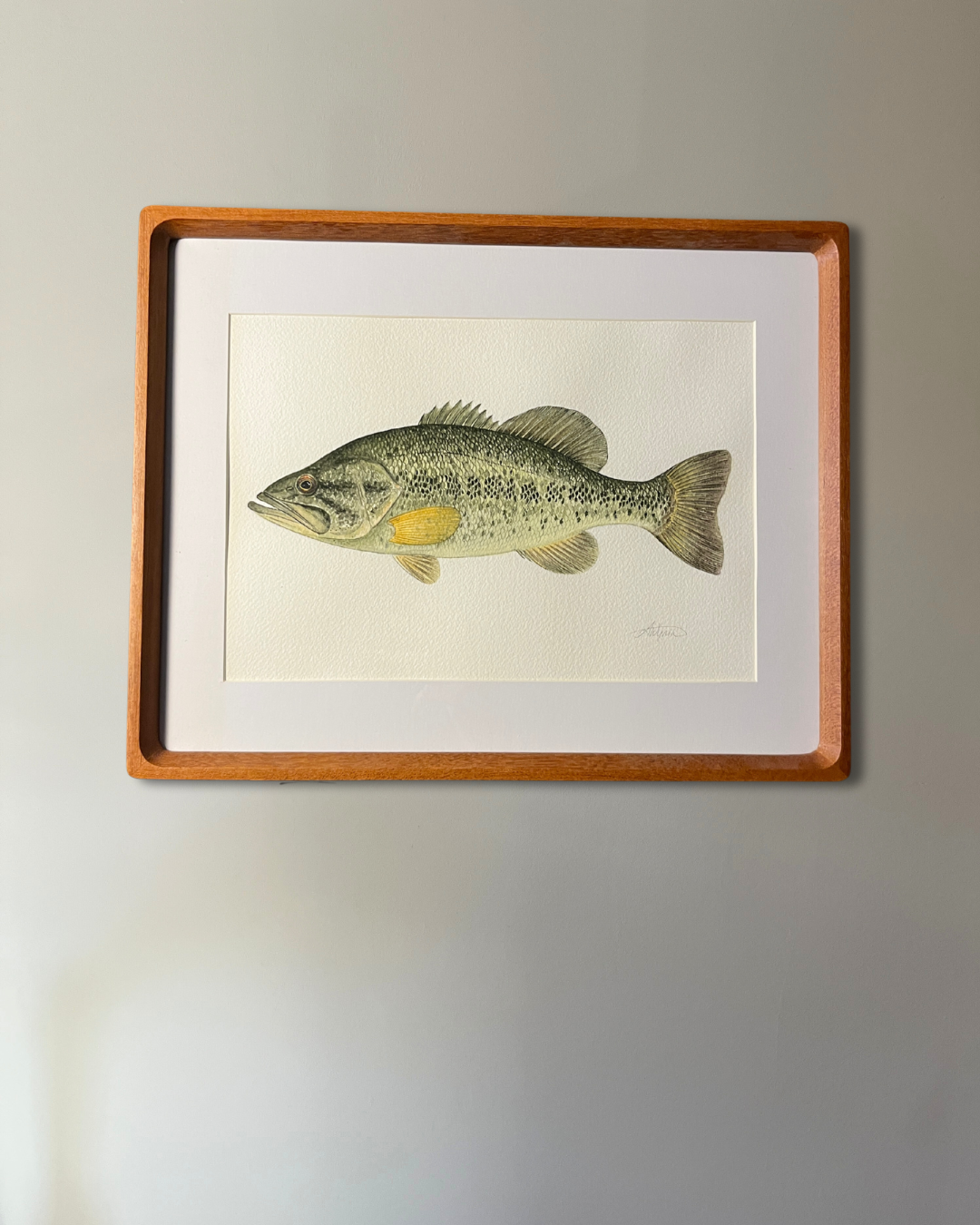 Largemouth Bass - Original Watercolour Painting