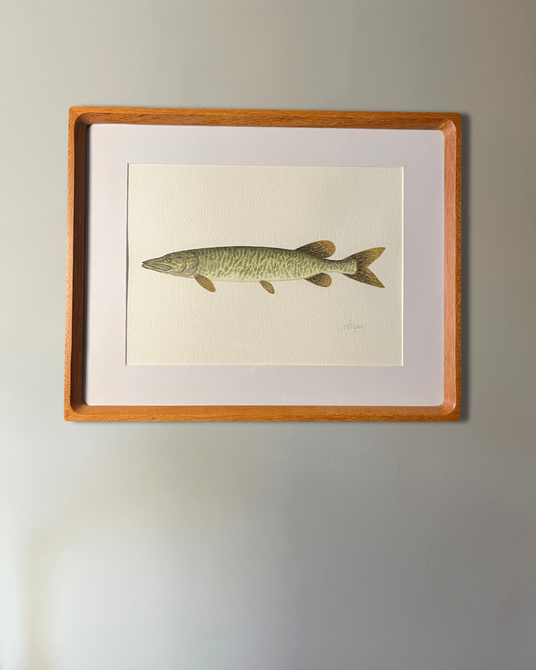 Muskellunge - Original Watercolour Painting