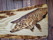 Load image into Gallery viewer, Northern Pike on Live-Edge Ash
