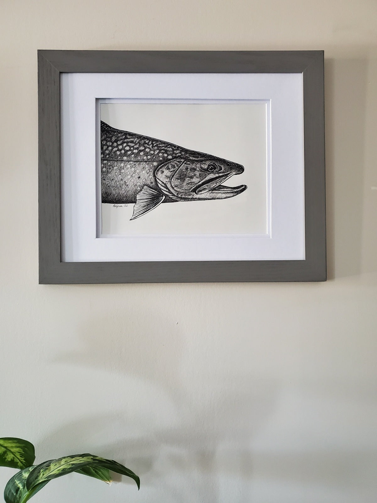 Truite de ruisseau, stylo et encre, original