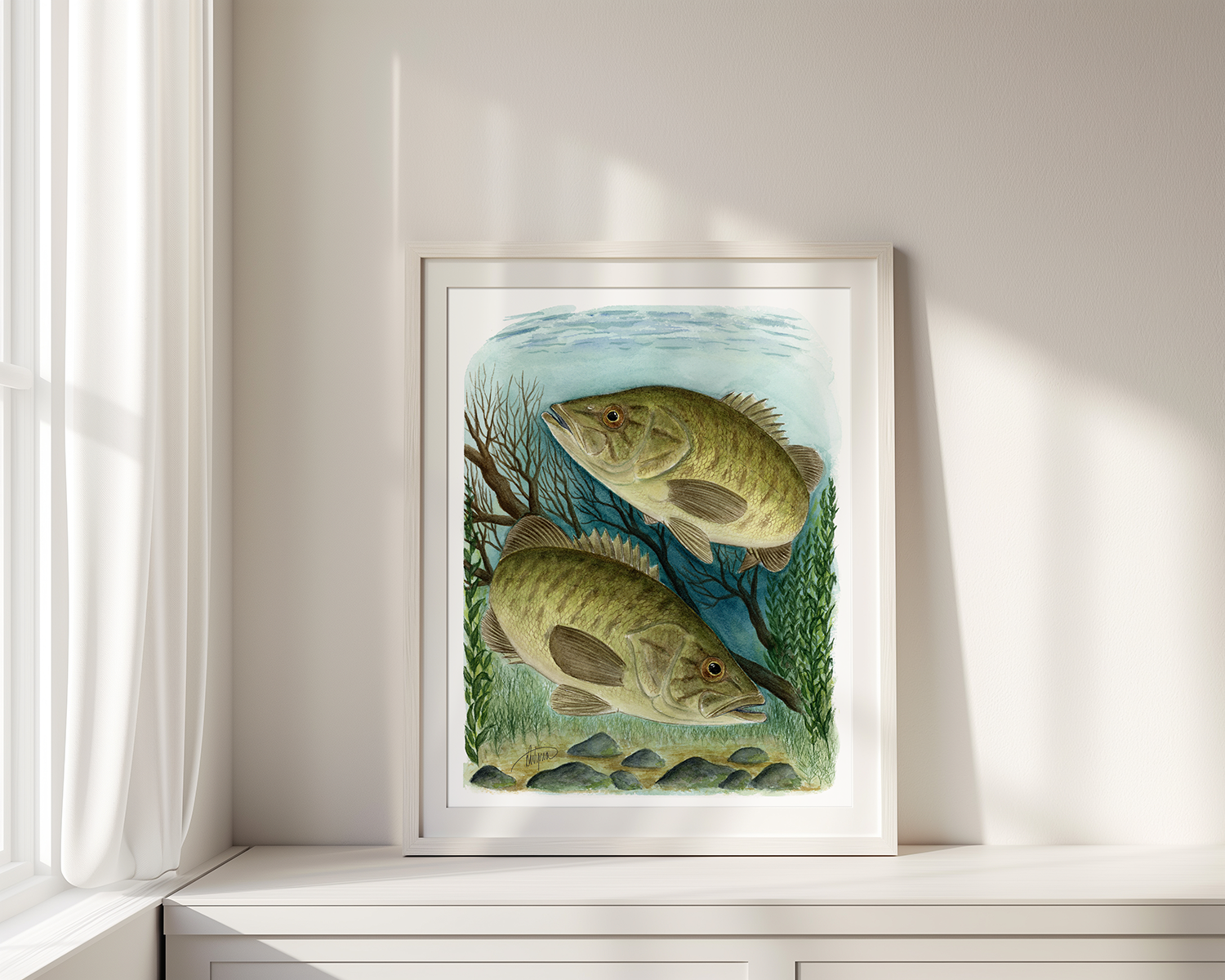 Original Paintings & Illustrations