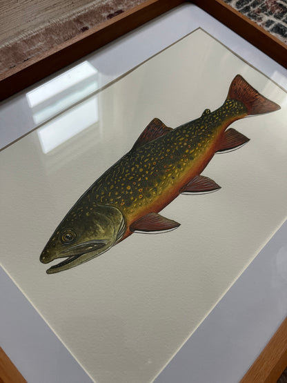 Brook Trout - Original Watercolour Painting