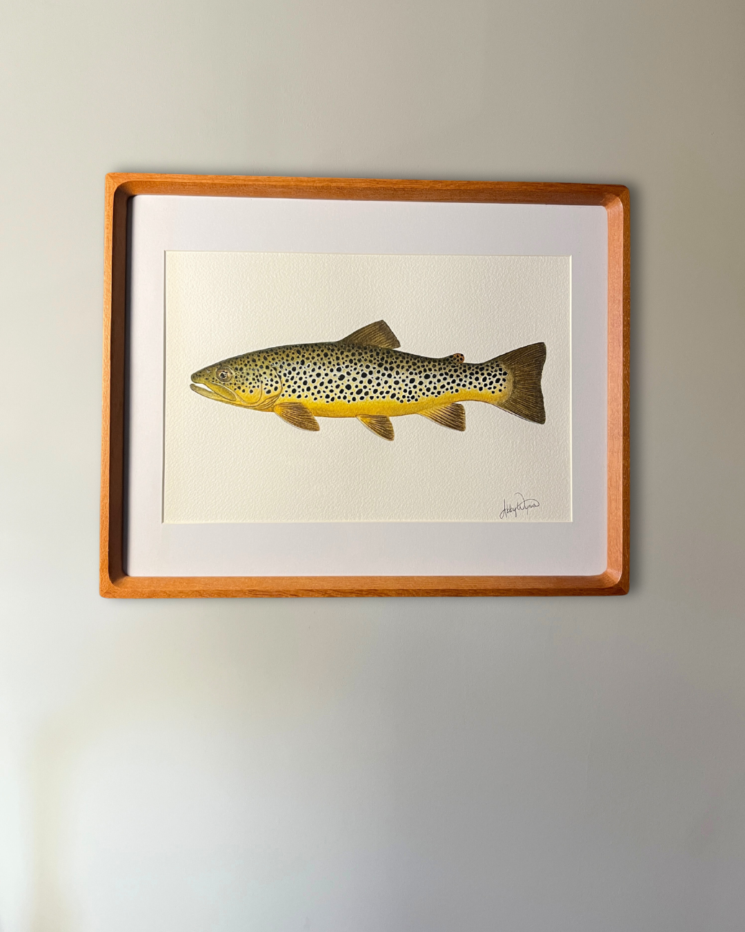 Brown Trout - Original Watercolour Painting