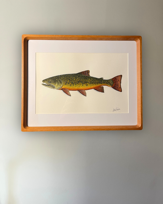 Brook Trout - Original Watercolour Painting