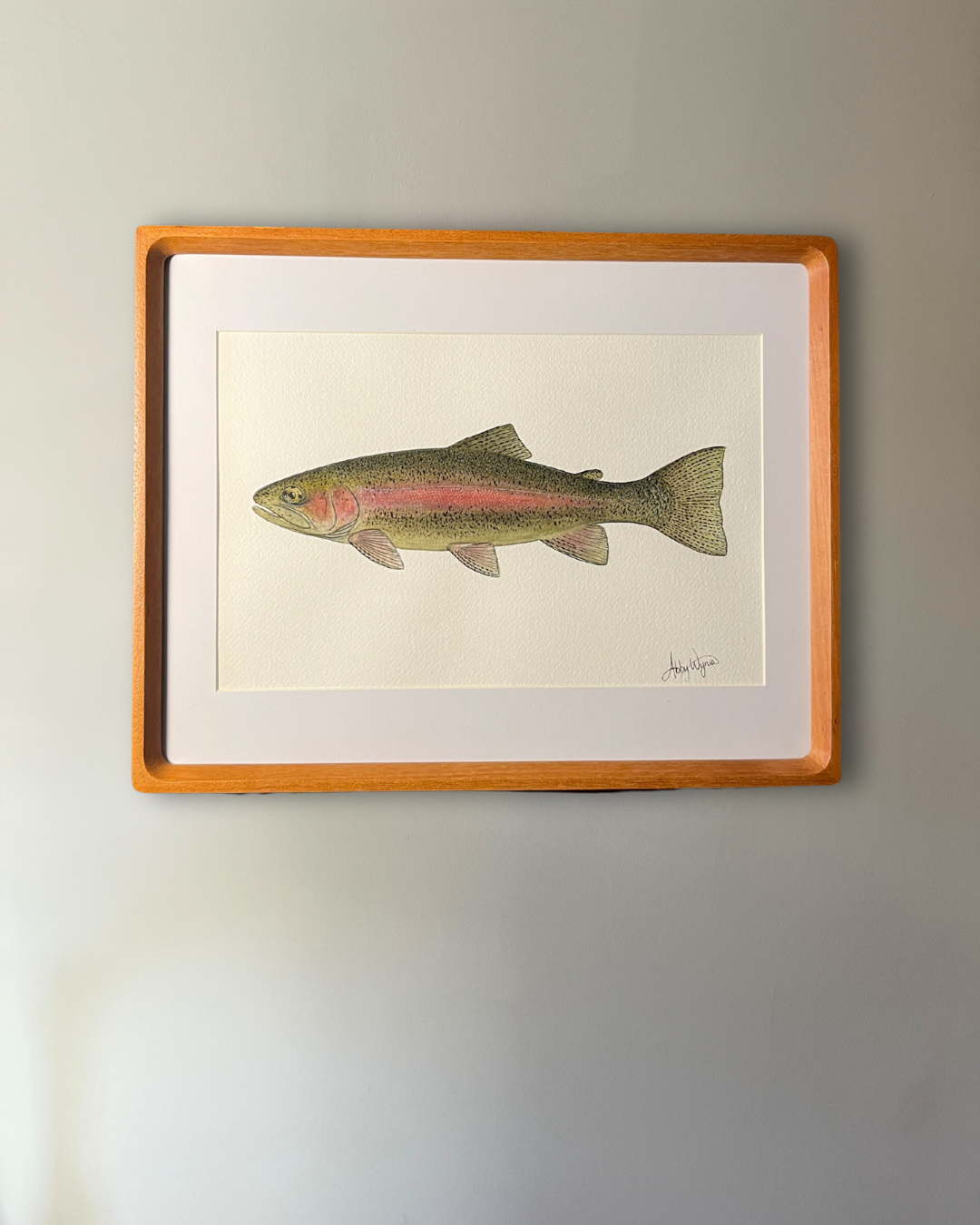 Rainbow Trout - Original Watercolour Painting