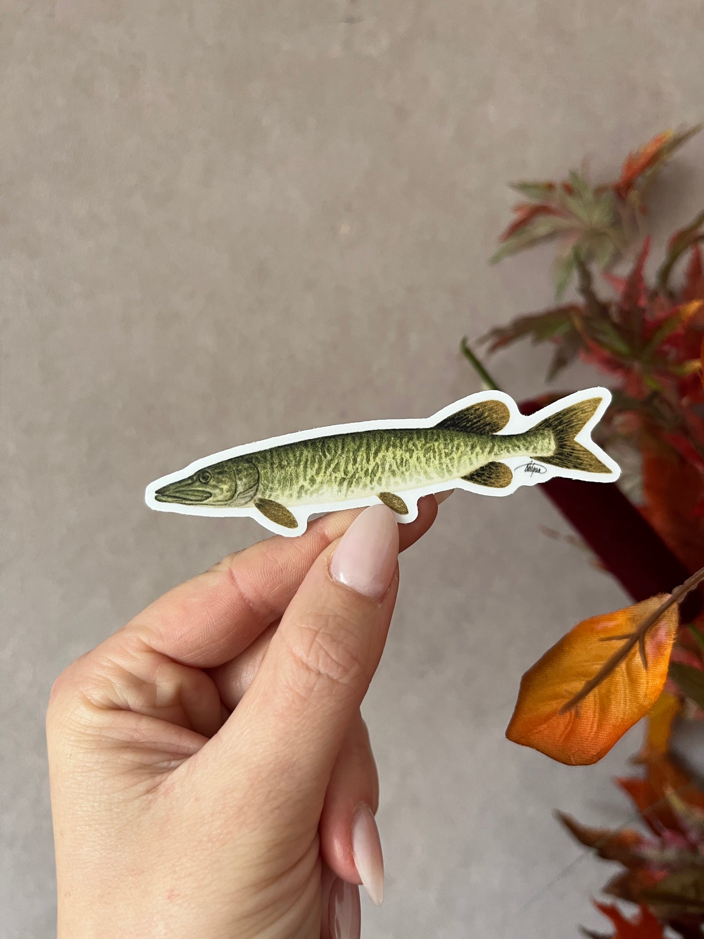 Muskellunge Vinyl Sticker
