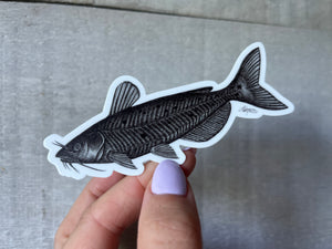 Channel Catfish Vinyl Sticker