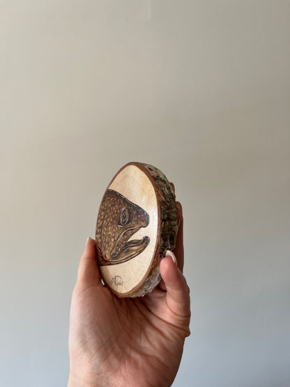 Lake Trout Mini Burn