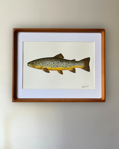 Brown Trout - Original Watercolour Painting