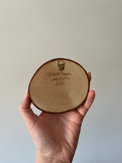 Black Crappie Mini Burn