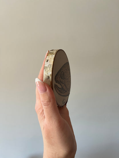 Brown Trout Mini Burn