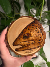 Load image into Gallery viewer, Brown Trout Mini
