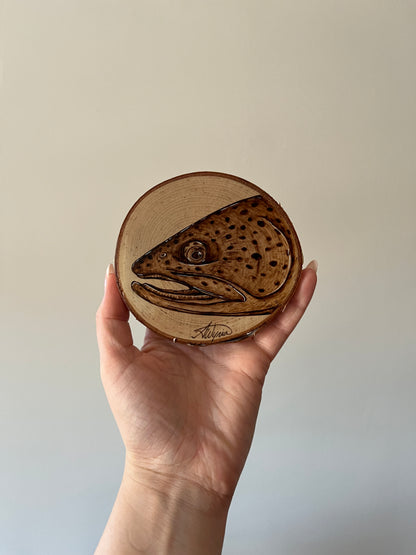 Brown Trout Mini Burn