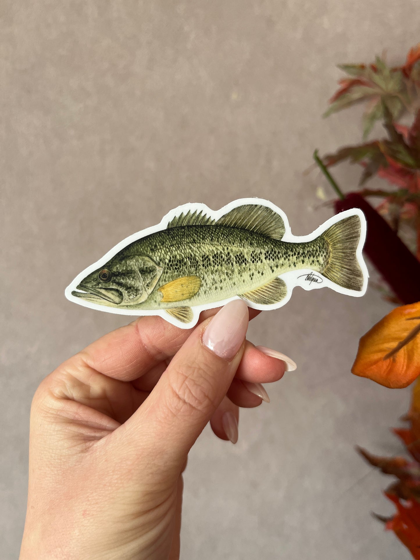 Largemouth Bass Vinyl Sticker