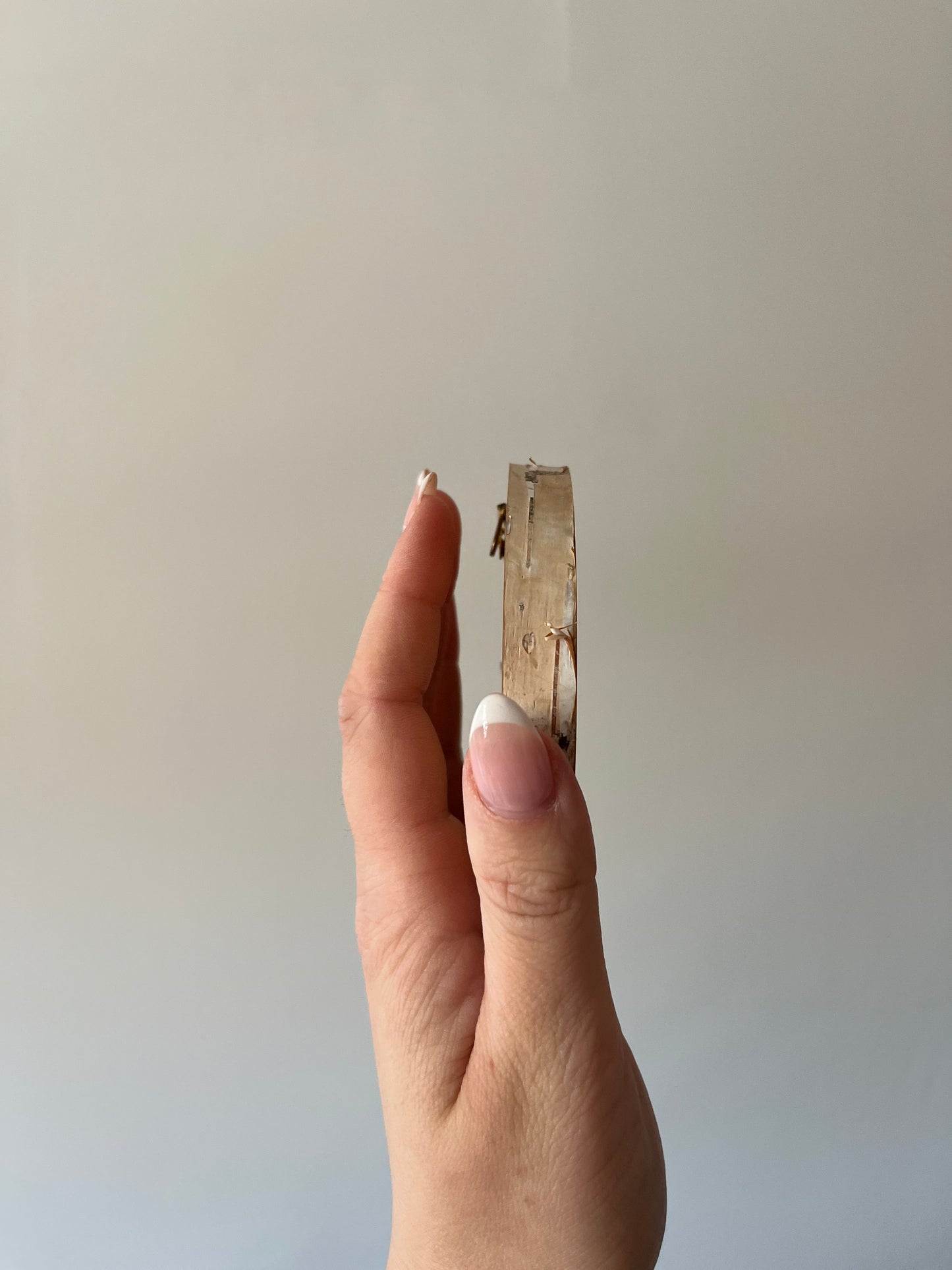 Lake Trout Mini Burn